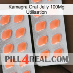 Kamagra Oral Jelly 100Mg Use 27